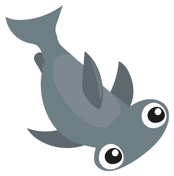 Hammer Head Shark