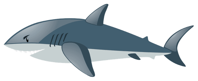 Shark 2