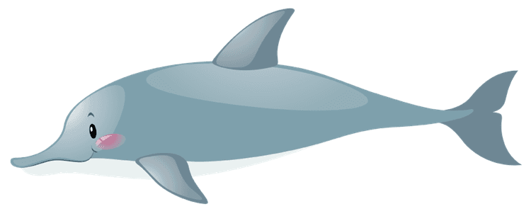 Dolphin 3