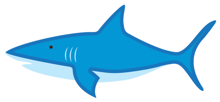 Shark 3