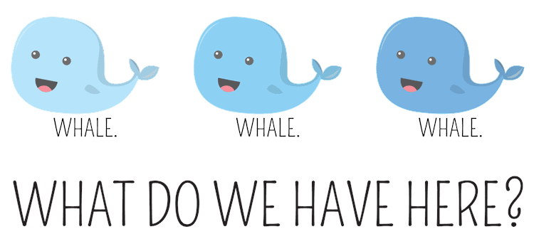 Whale Whale Whale