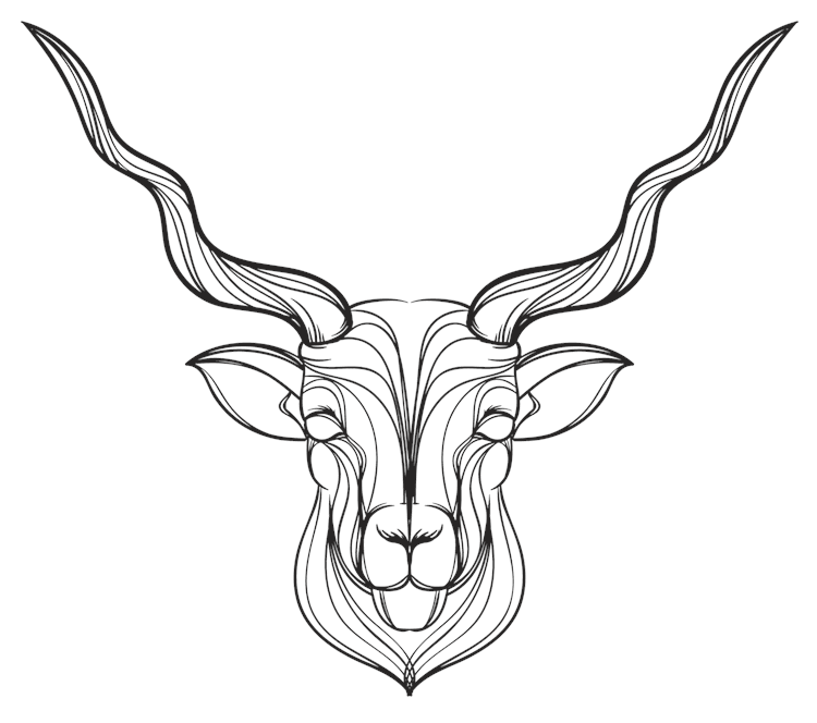 Zodiac Capricorn