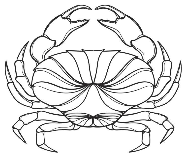 Zodiac Cancer