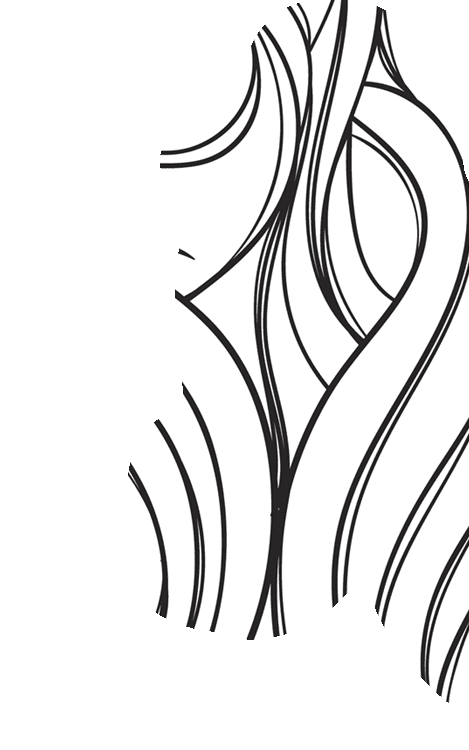 Zodiac Virgo