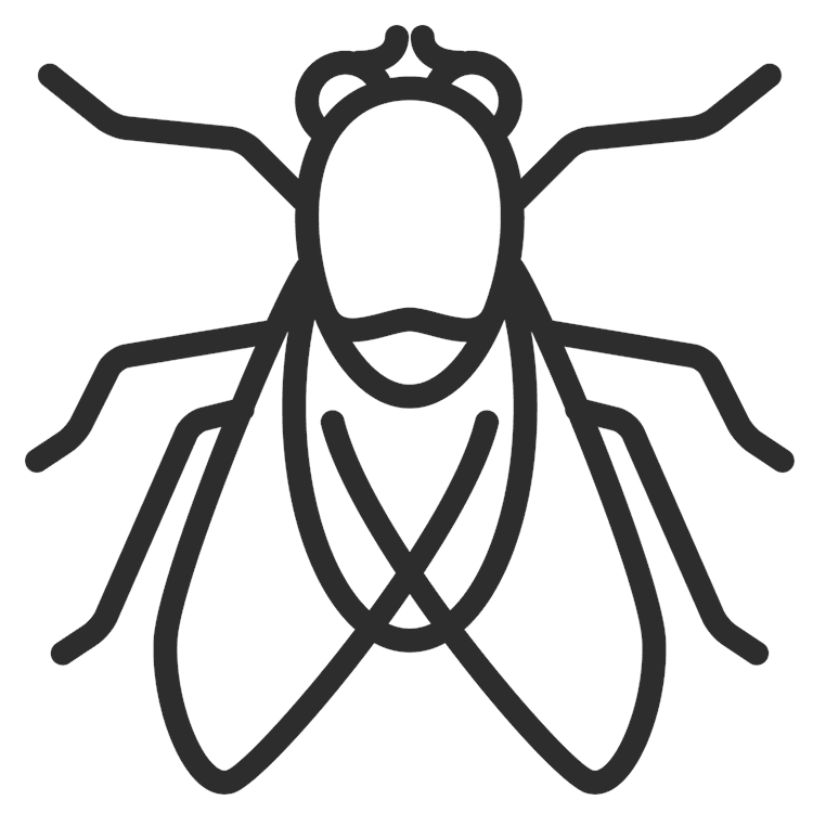 Fly Outline