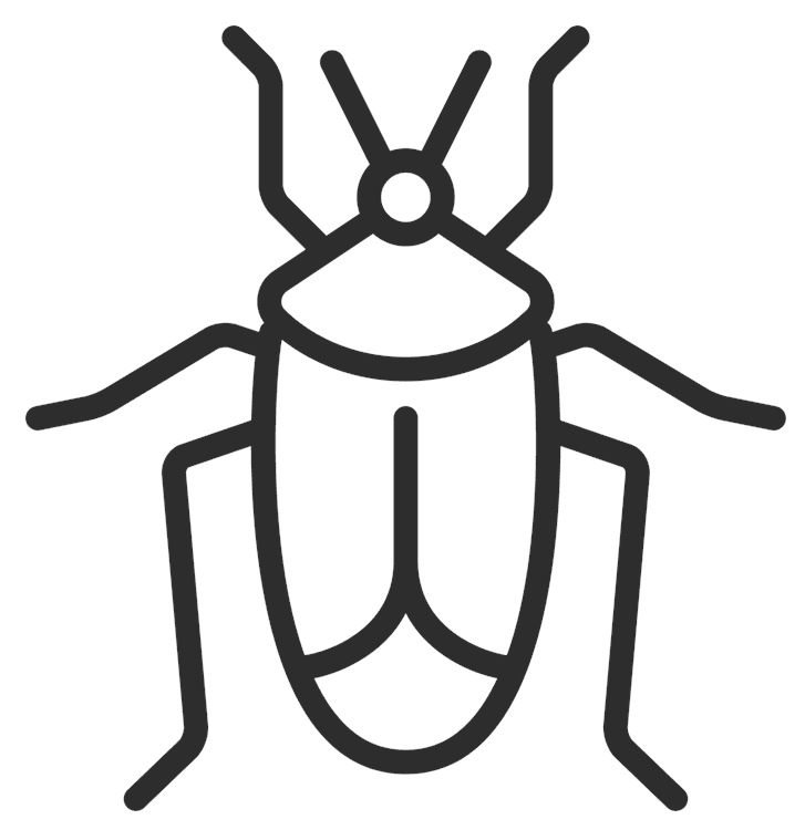 Beetle