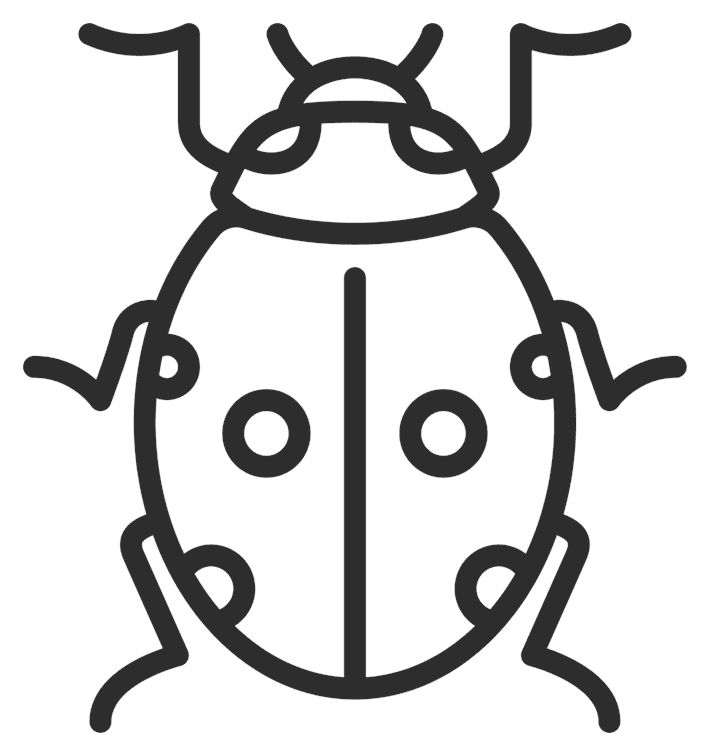 Ladybug Outline