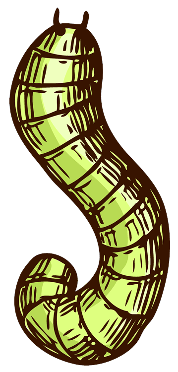 Caterpillar