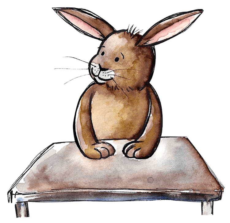 Bunny