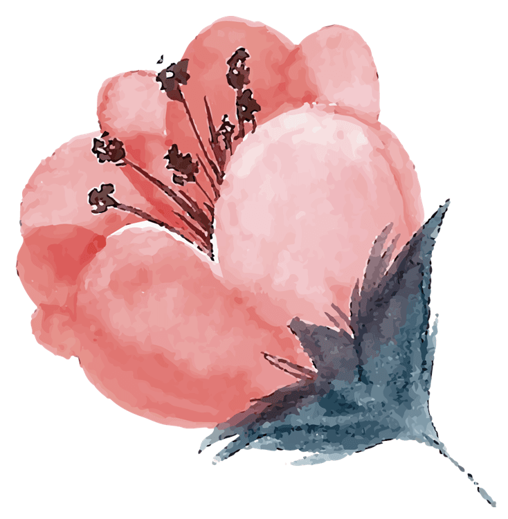 Pink Flower Top