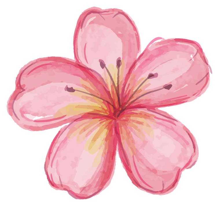 Pink Petal Flower