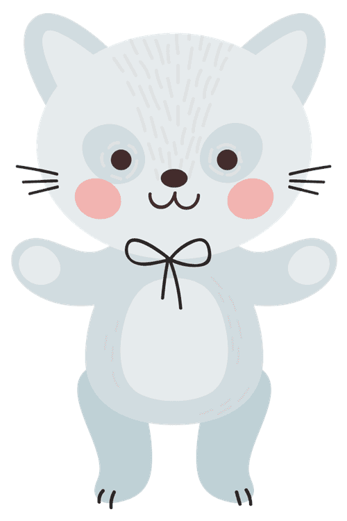 Cat teddy