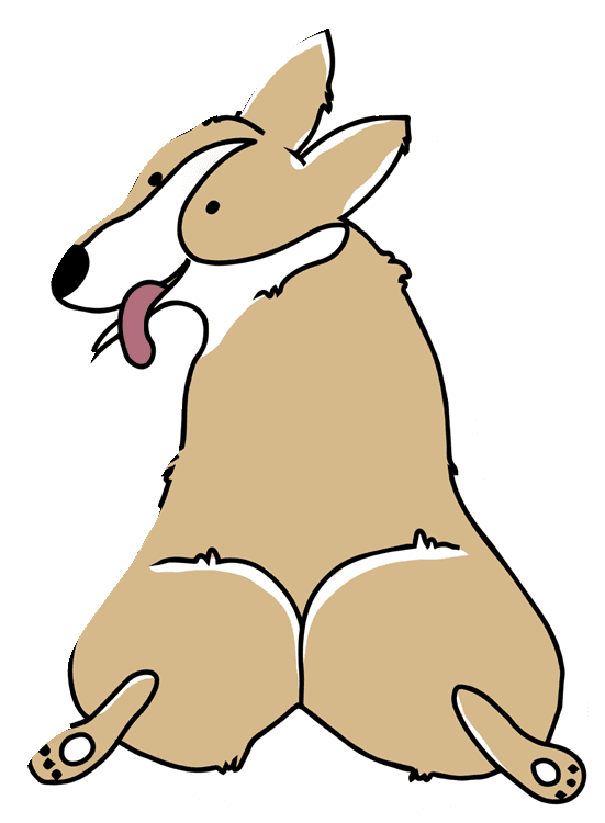 Cute Corgi 