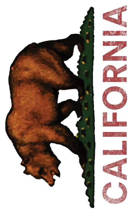 UL California Bear