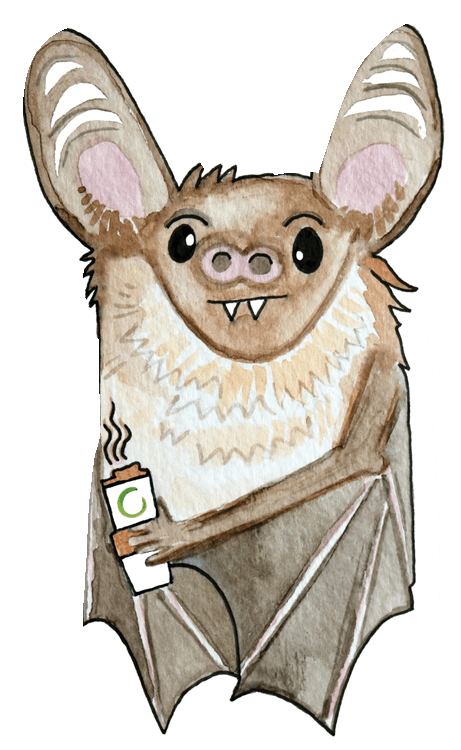 Abigail-Springfield-coffeebatnocturnal.png