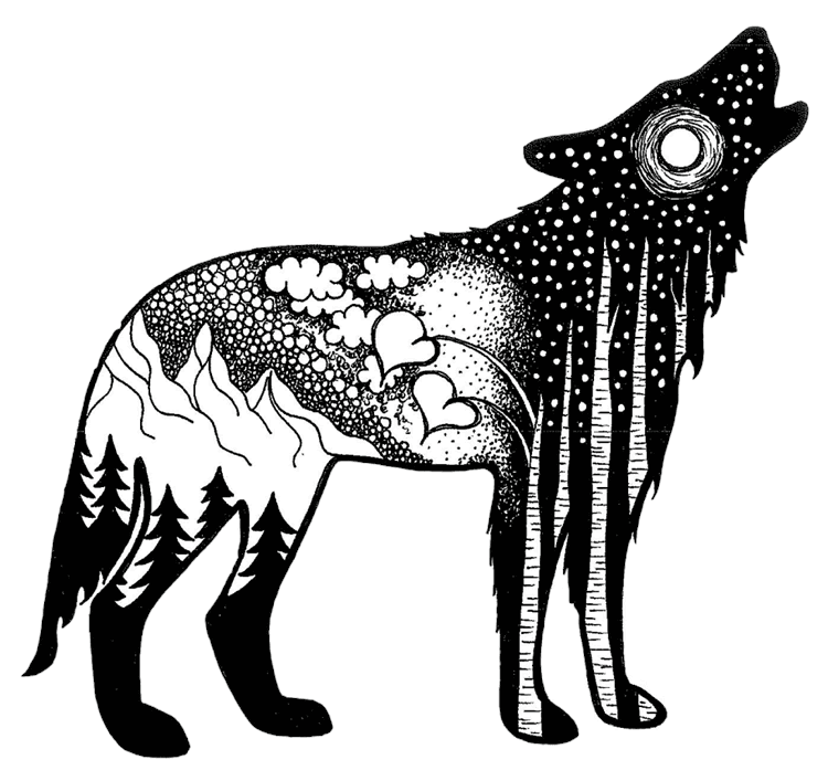 Brenna-Anderst-Wolf.png