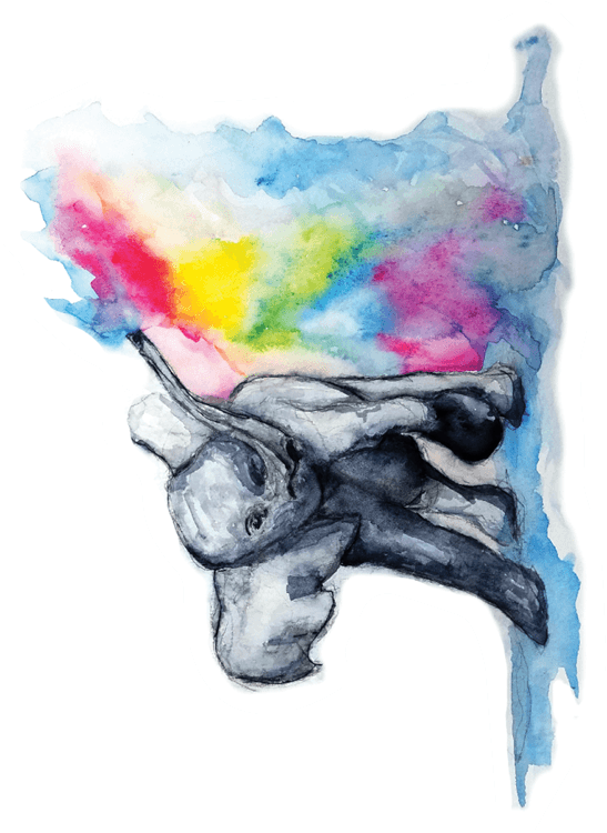 Ben-Griffith-Elephant.png