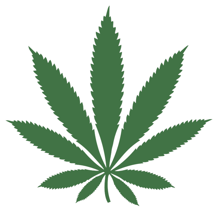 Green Leaf.pdf