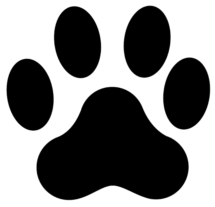 Black Paw
