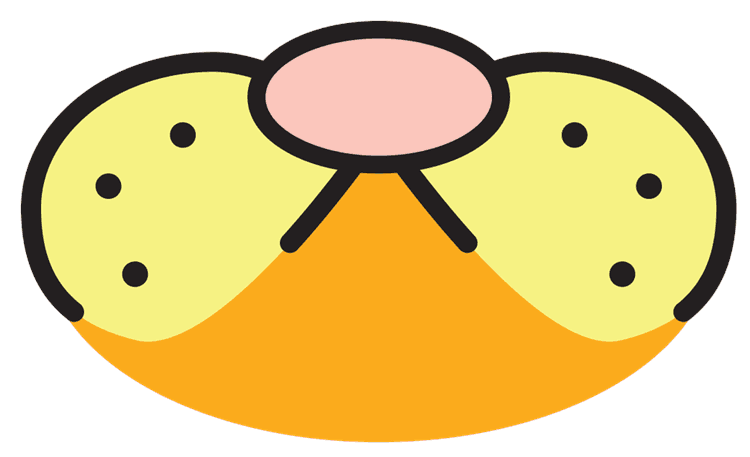 Garfield Face