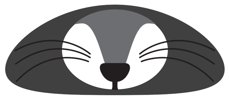 Racoon Face
