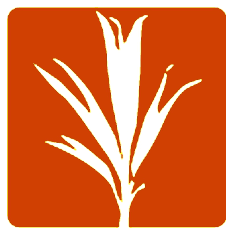 DevelopmentSeed_logo.jpg