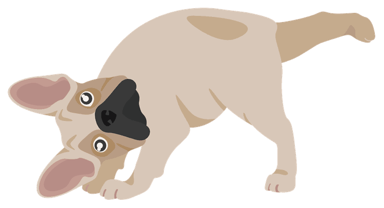 Downward Dog Single