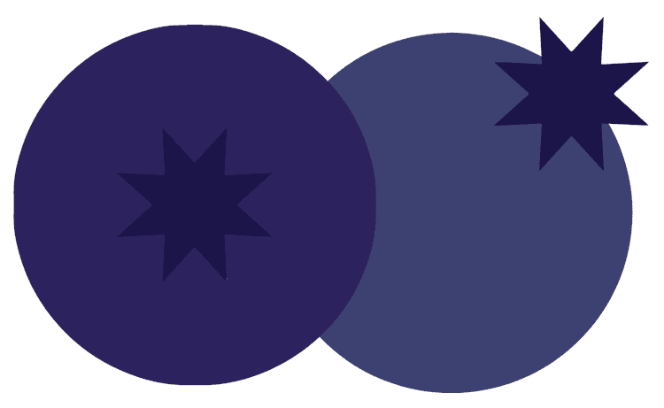 Blueberry Style 1