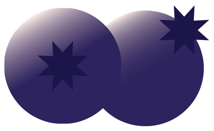 Blueberry Style 2