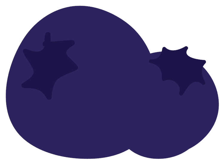 Blueberry Style 3