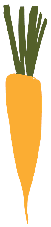 Carrot Style 3