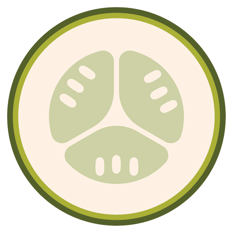 Cucumber Style 1