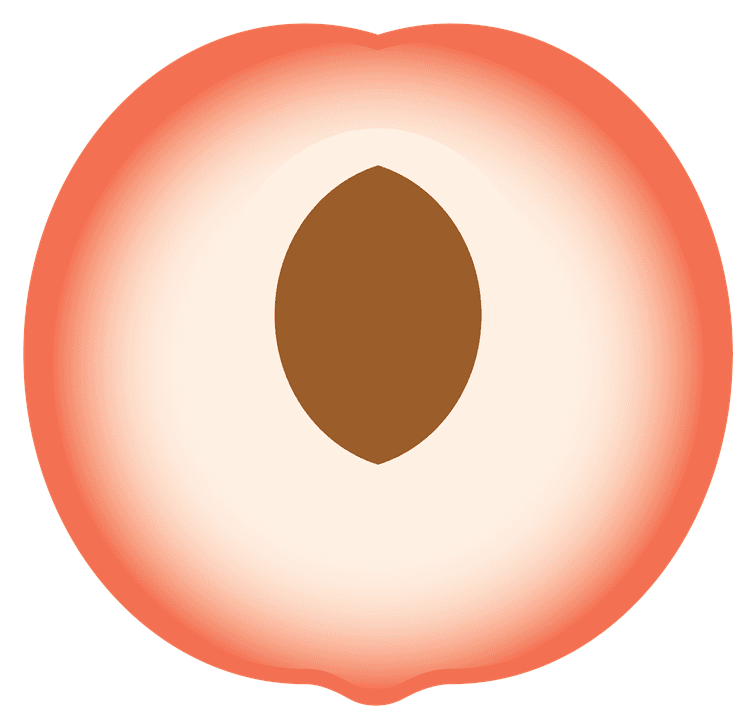Half Peach Style 2