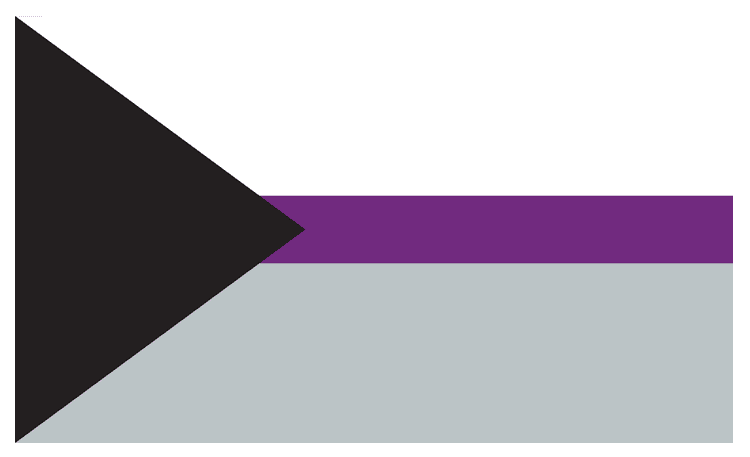 Demisexual