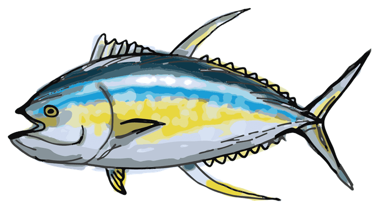 Tuna