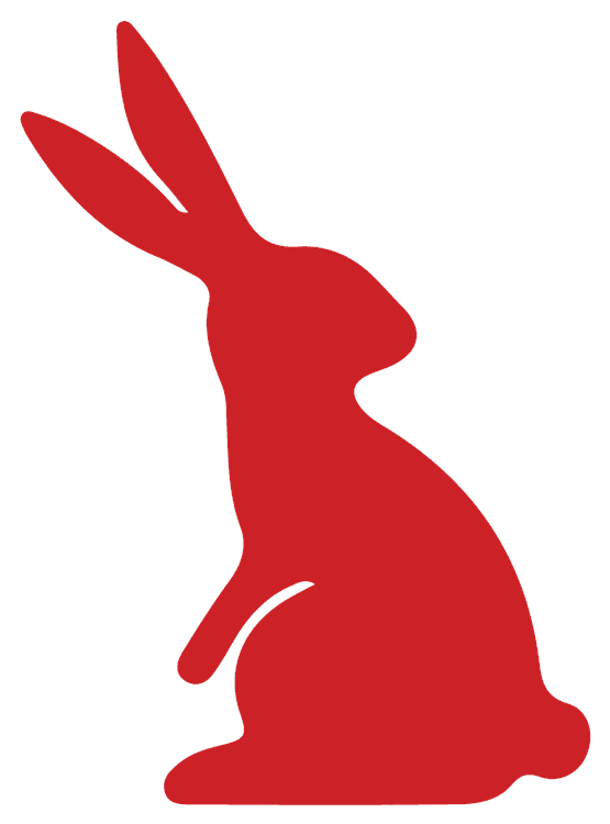 Rabbit Standing