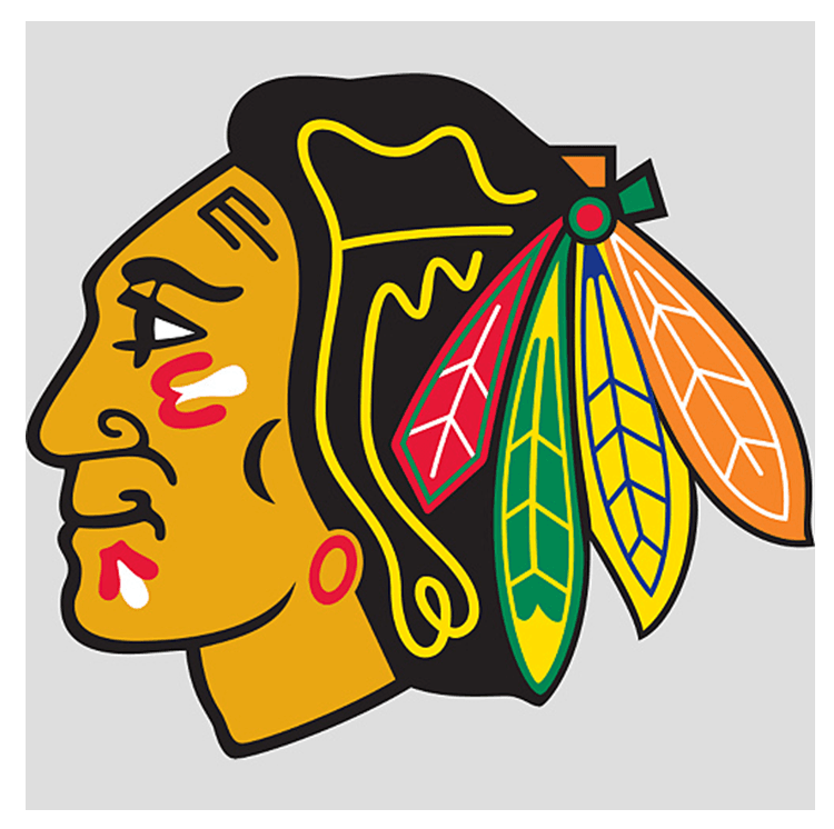 bhawkslogolrg.jpg
