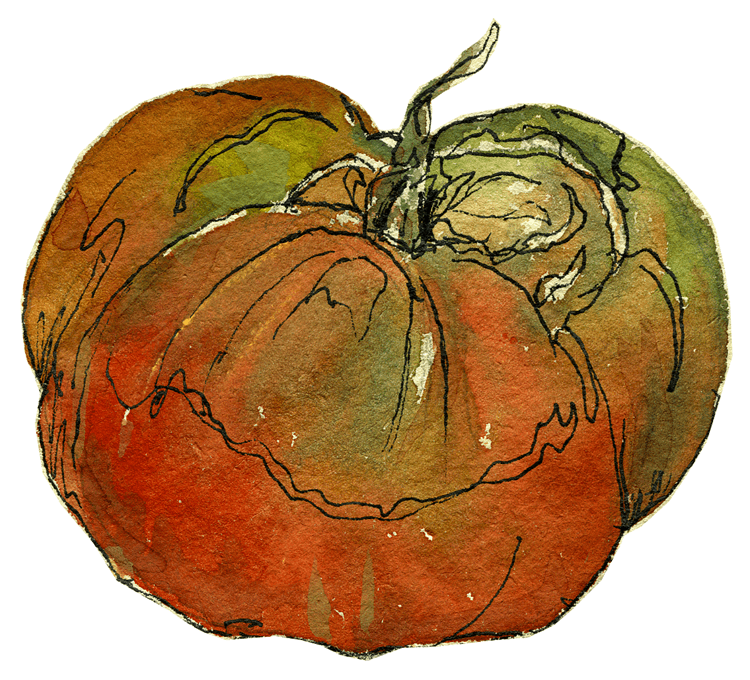 tomato1.jpg