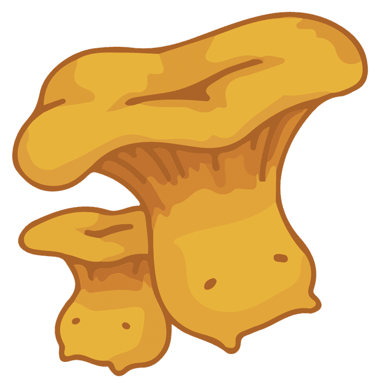 Kawaii Chanterelle