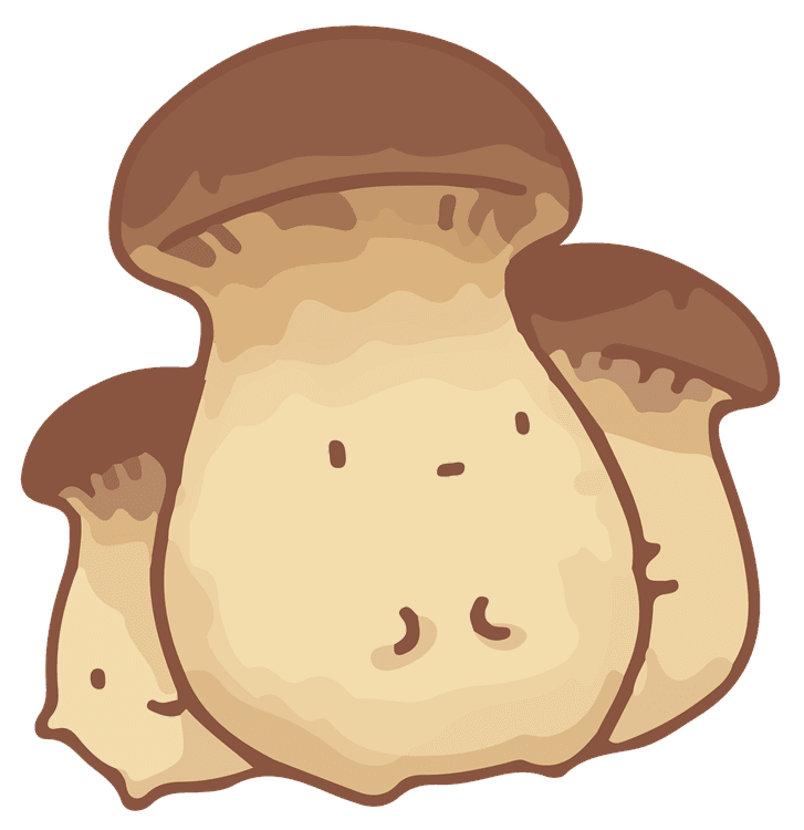 Kawaii King Oyster