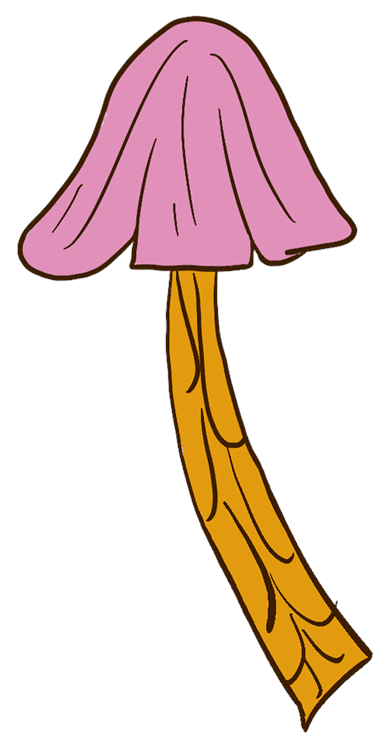 Pink Shroomies