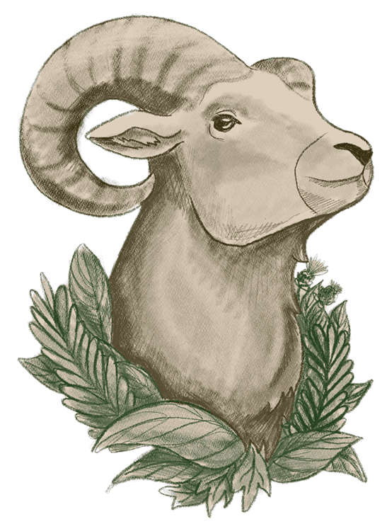 Nature Goat Head