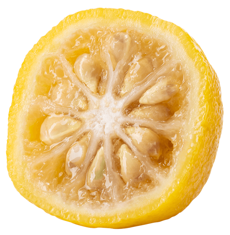 Yuzu Halved
