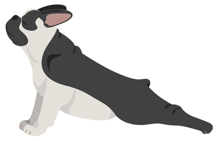 That Girl Dog Stretch