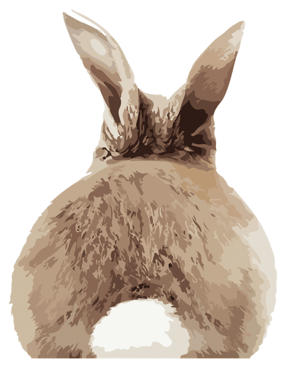 Vanilla Girl Bunny