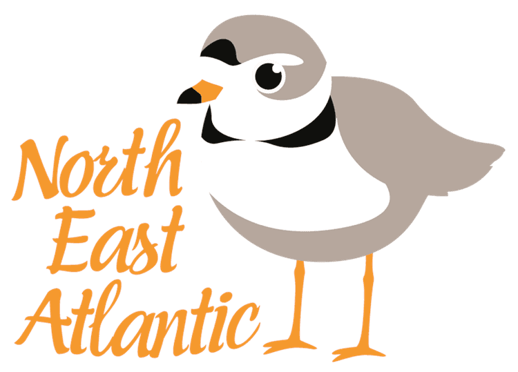 North East Atlantic