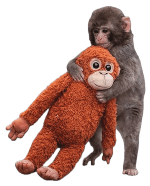 Punch Monkey 1
