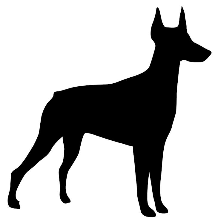 doberman