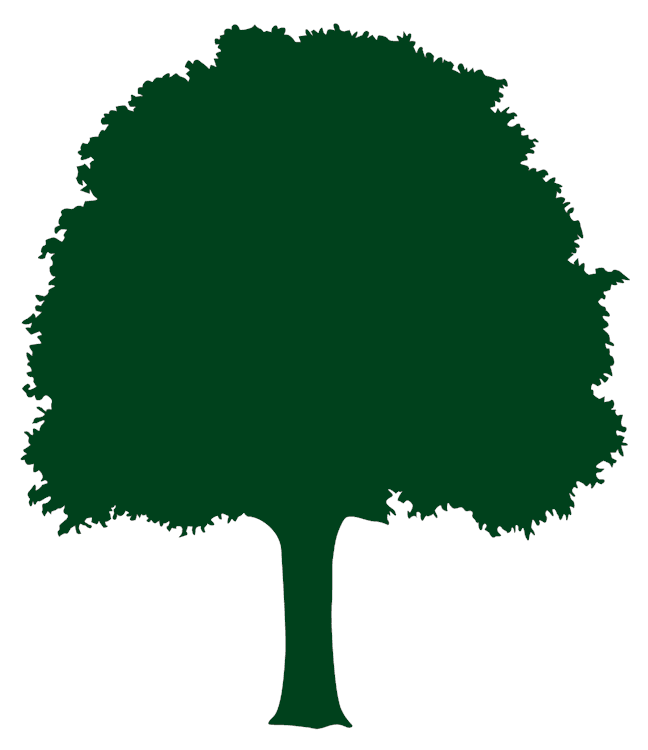 Big Tree