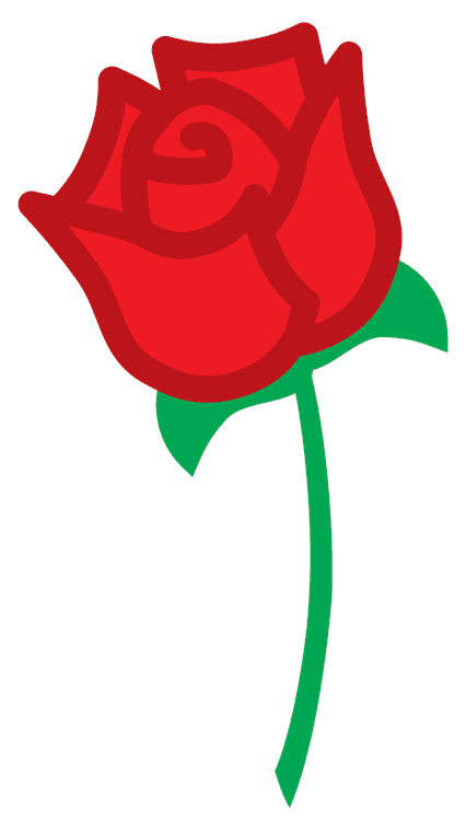 Plain Rose Flower